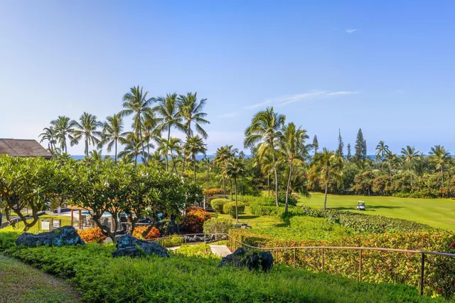 a view of a big yard