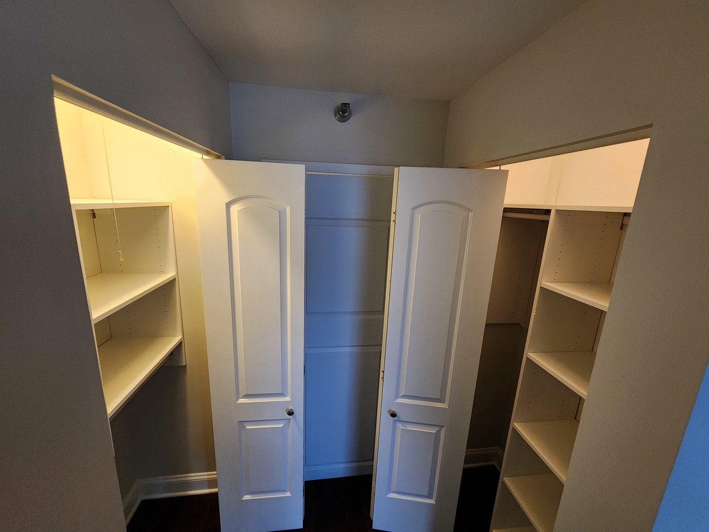 440 North Wabash Avenue, Unit 3109 Chicago, IL 60611 - Photo 10 of 25 a view of walk in closet