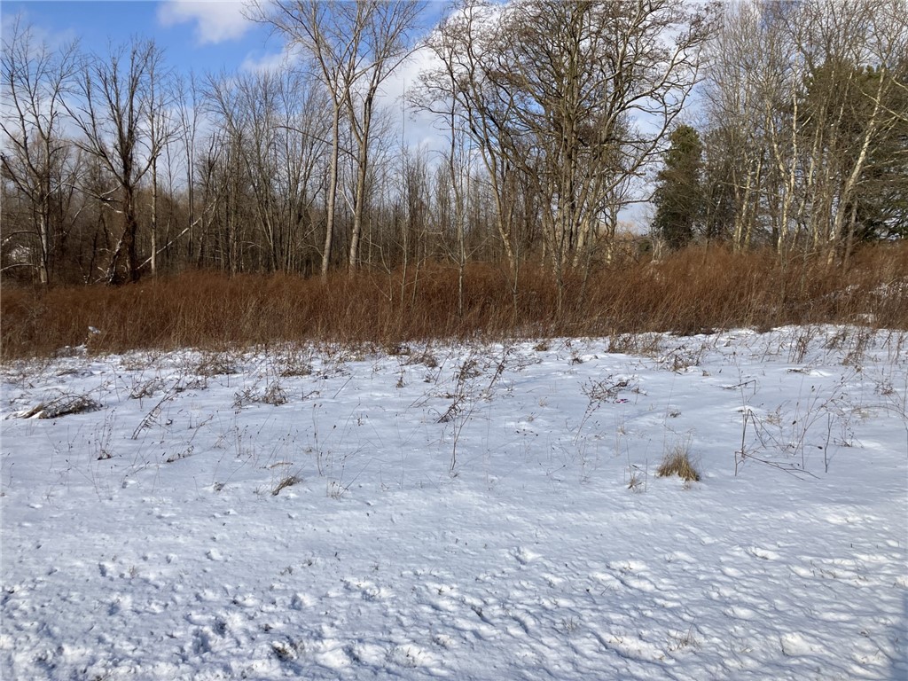 Welcome To 1020 Plank Rd.