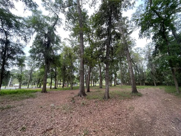 a view of outdoor space with trees