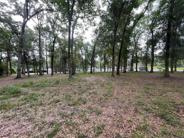 a view of outdoor space with trees