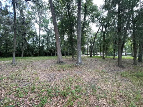 a view of park space