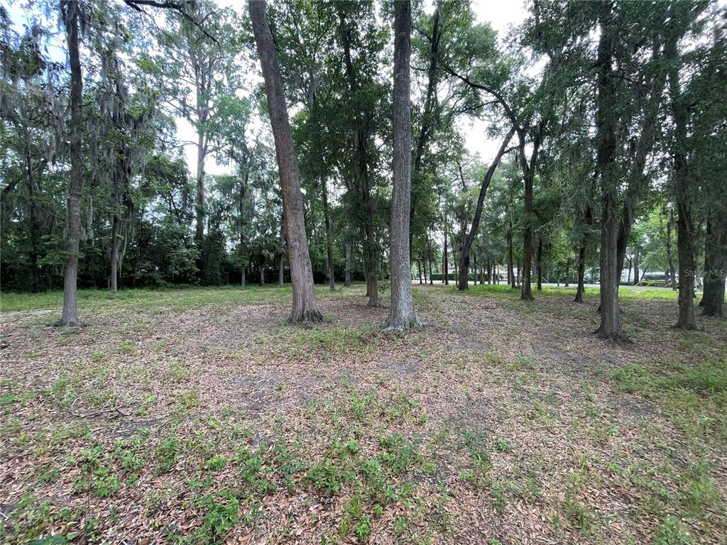 Southeast 17th Street Ocala, FL 34471 - Photo 14 of 19 a view of outdoor space with trees