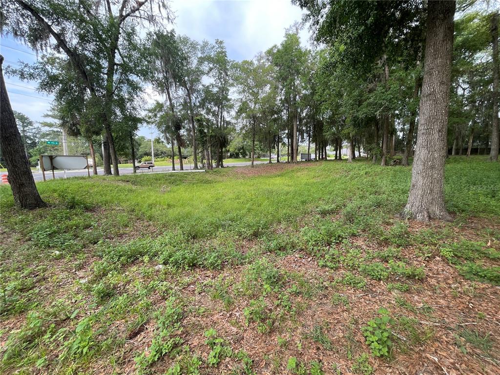 Southeast 17th Street Ocala, FL 34471 - Photo 16 of 19 a view of outdoor space with trees all around