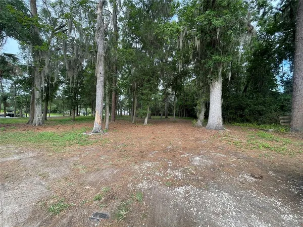 a view of a house with a big yard and large trees