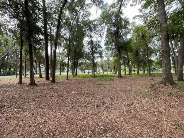 a view of outdoor space with trees
