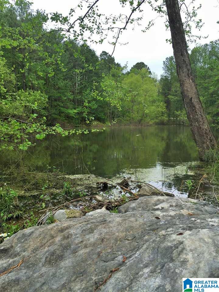 4925 Cahaba Valley Road, Unit 2 Birmingham, AL 35242 - Photo 3 of 8
