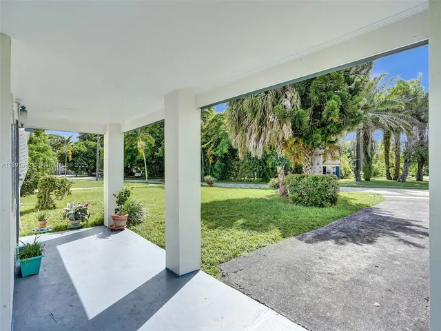 a view of backyard with large trees and plants