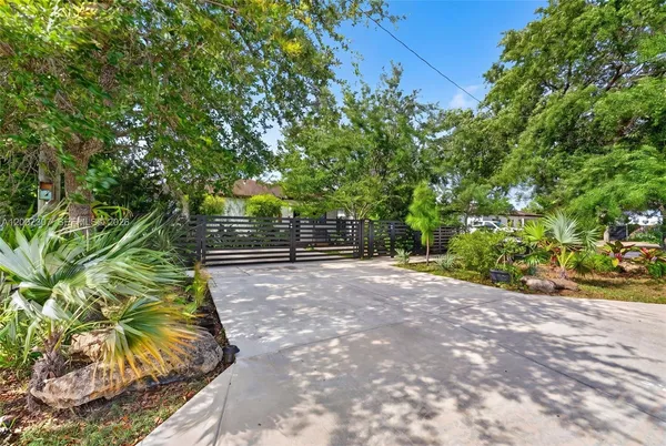 a view of a yard with plants and a trees