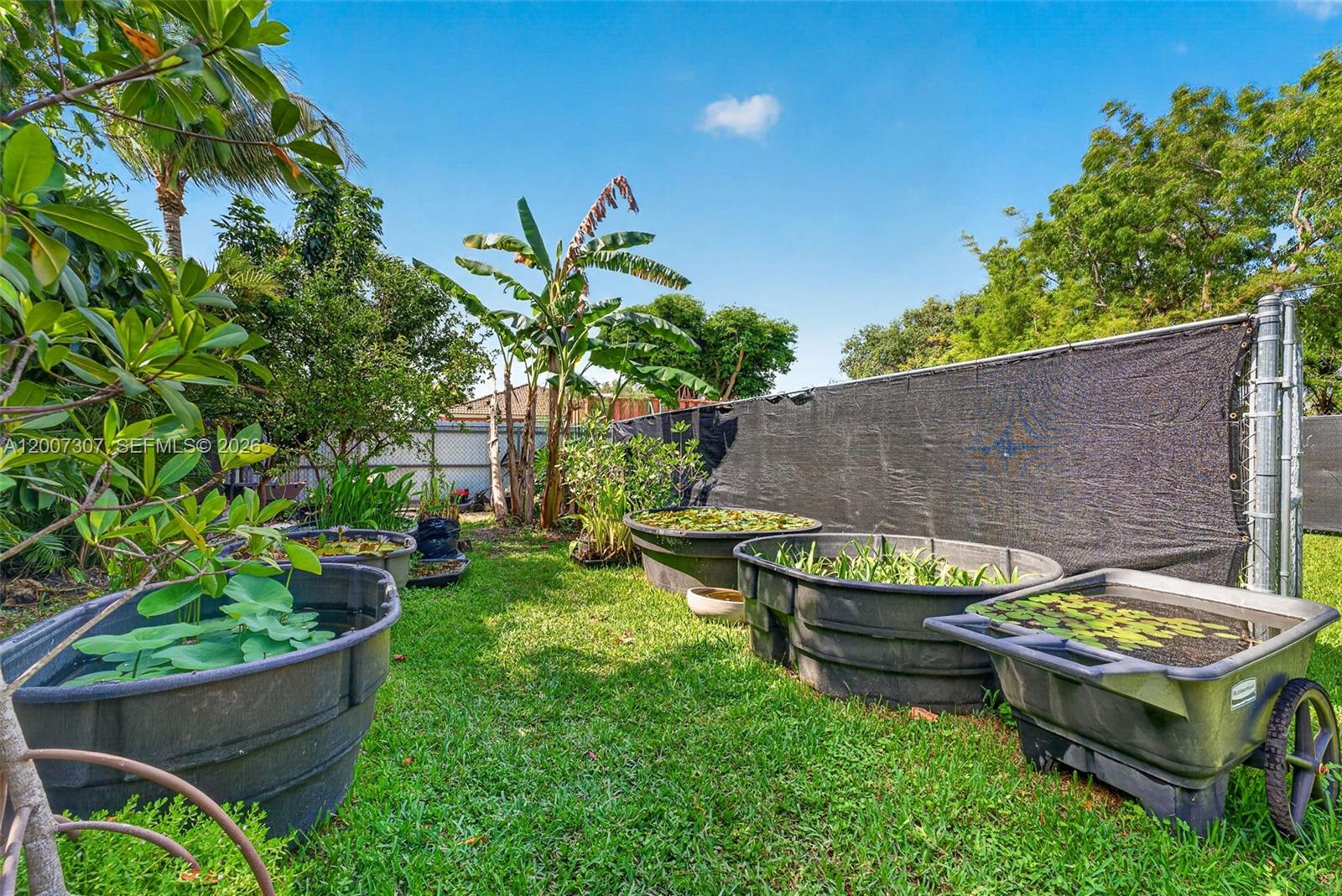 12310 Southwest 216th Street Miami, FL 33170 - Photo 17 of 22 a backyard of a house with lots of green space