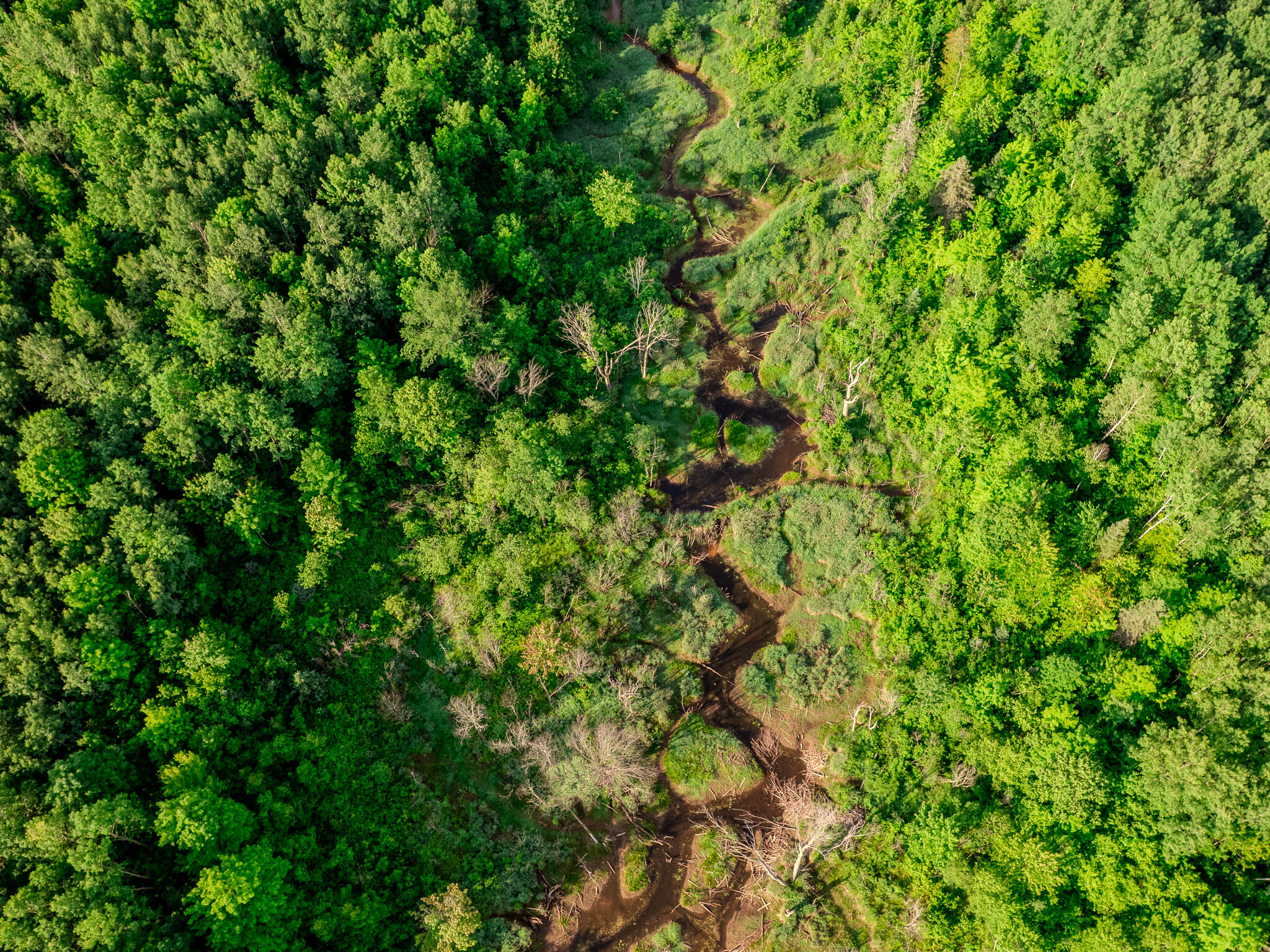 30659 Townline Road, Unit LOT 4 Ontonagon, MI 49953 - Photo 1 of 32 DJI_0025