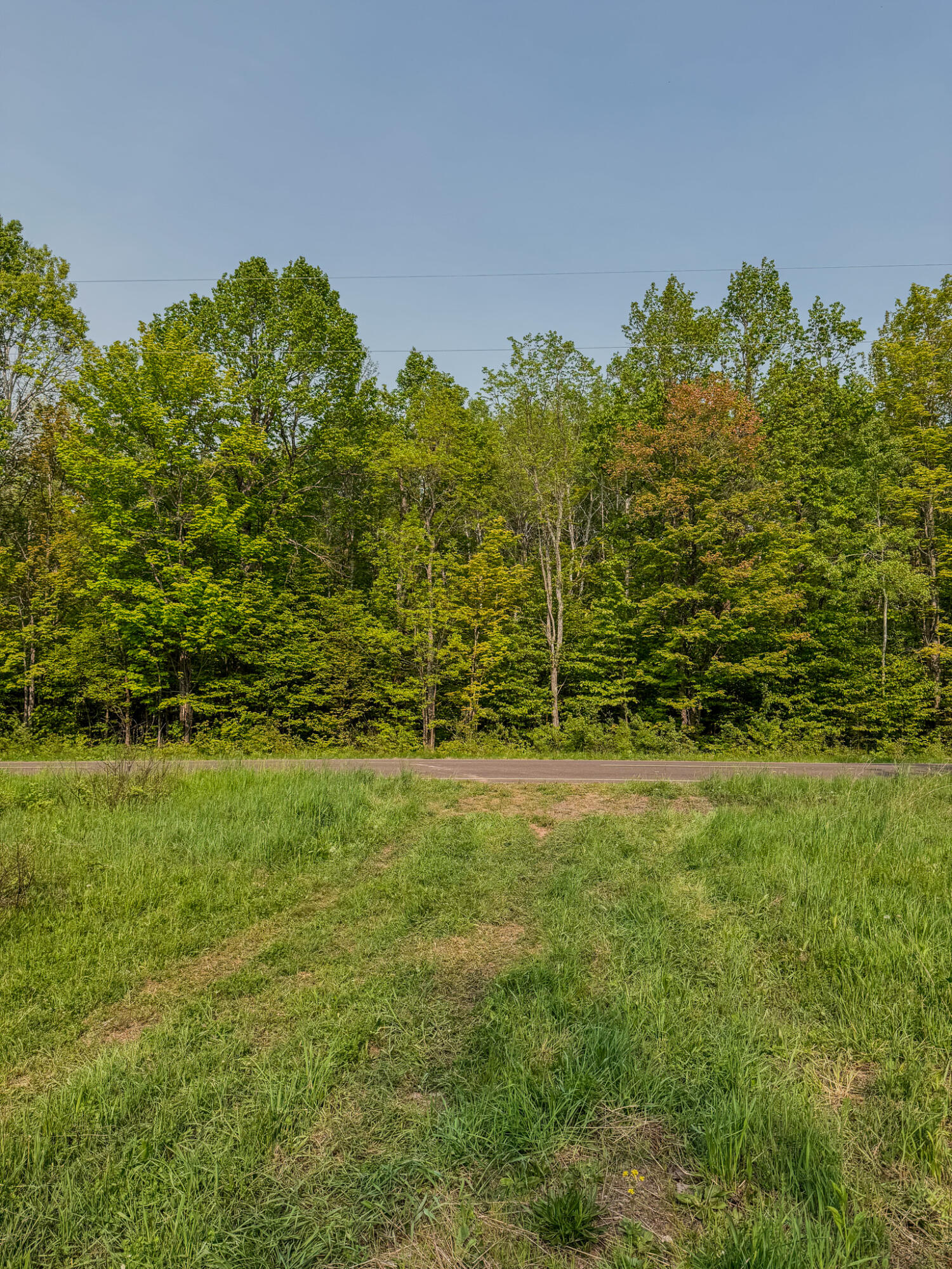 30659 Townline Road, Unit LOT 4 Ontonagon, MI 49953 - Photo 14 of 32 IMG_1698