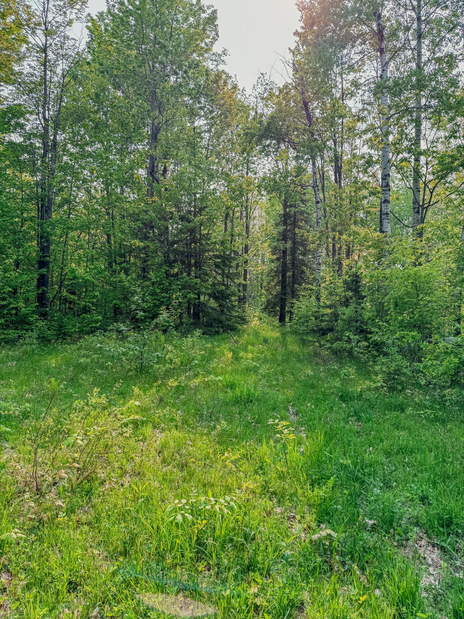 30659 Townline Road, Unit LOT 4 Ontonagon, MI 49953 - Photo 17 of 32 IMG_1706