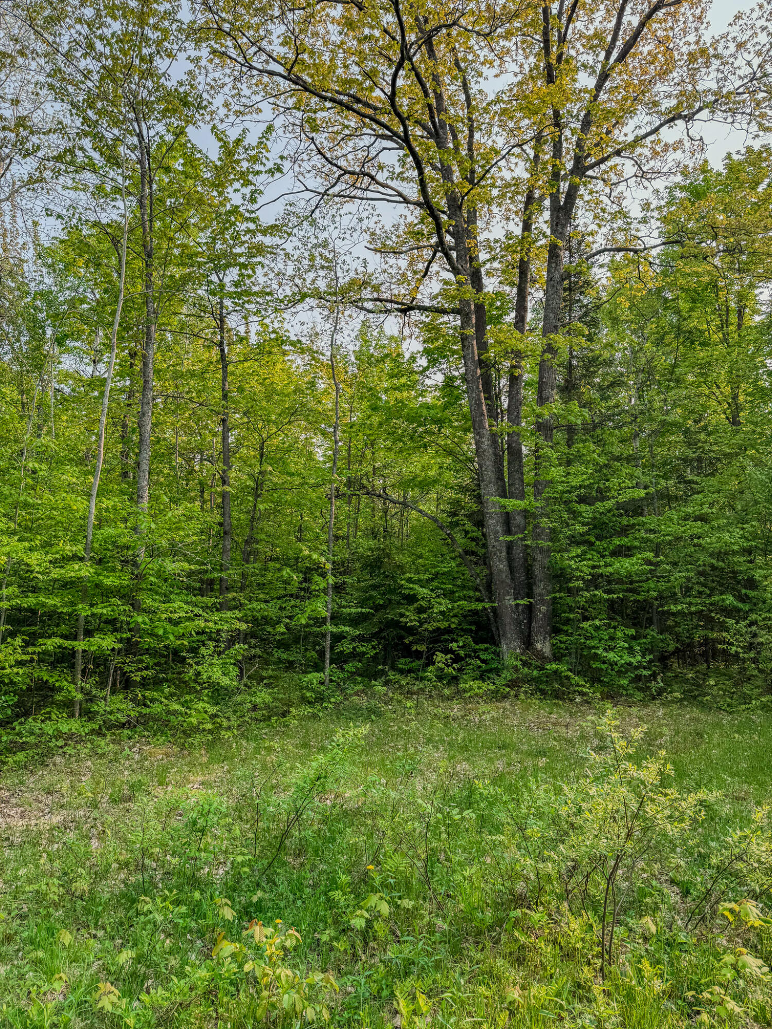30659 Townline Road, Unit LOT 4 Ontonagon, MI 49953 - Photo 18 of 32 IMG_1707
