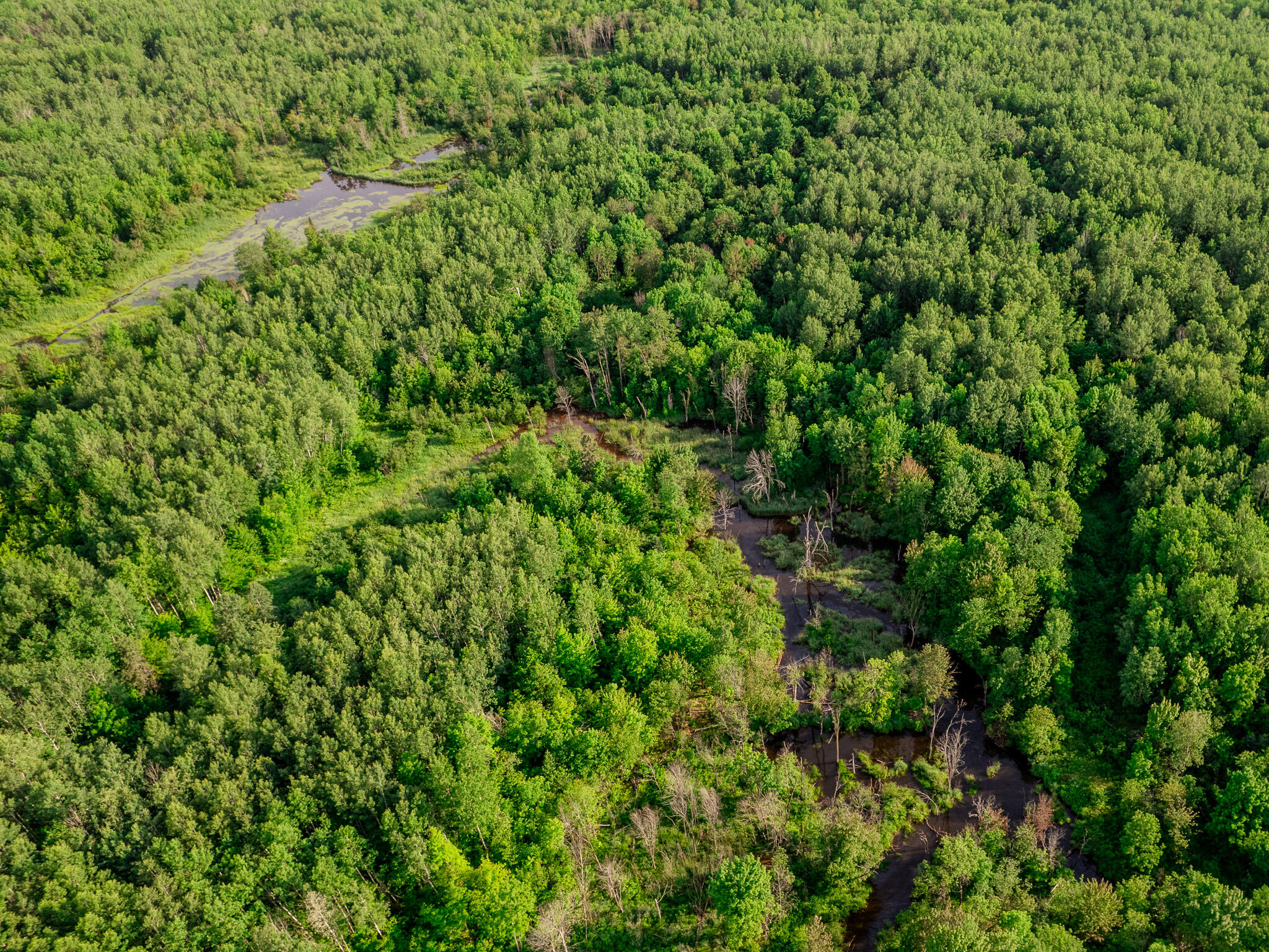 30659 Townline Road, Unit LOT 4 Ontonagon, MI 49953 - Photo 2 of 32 DJI_0026