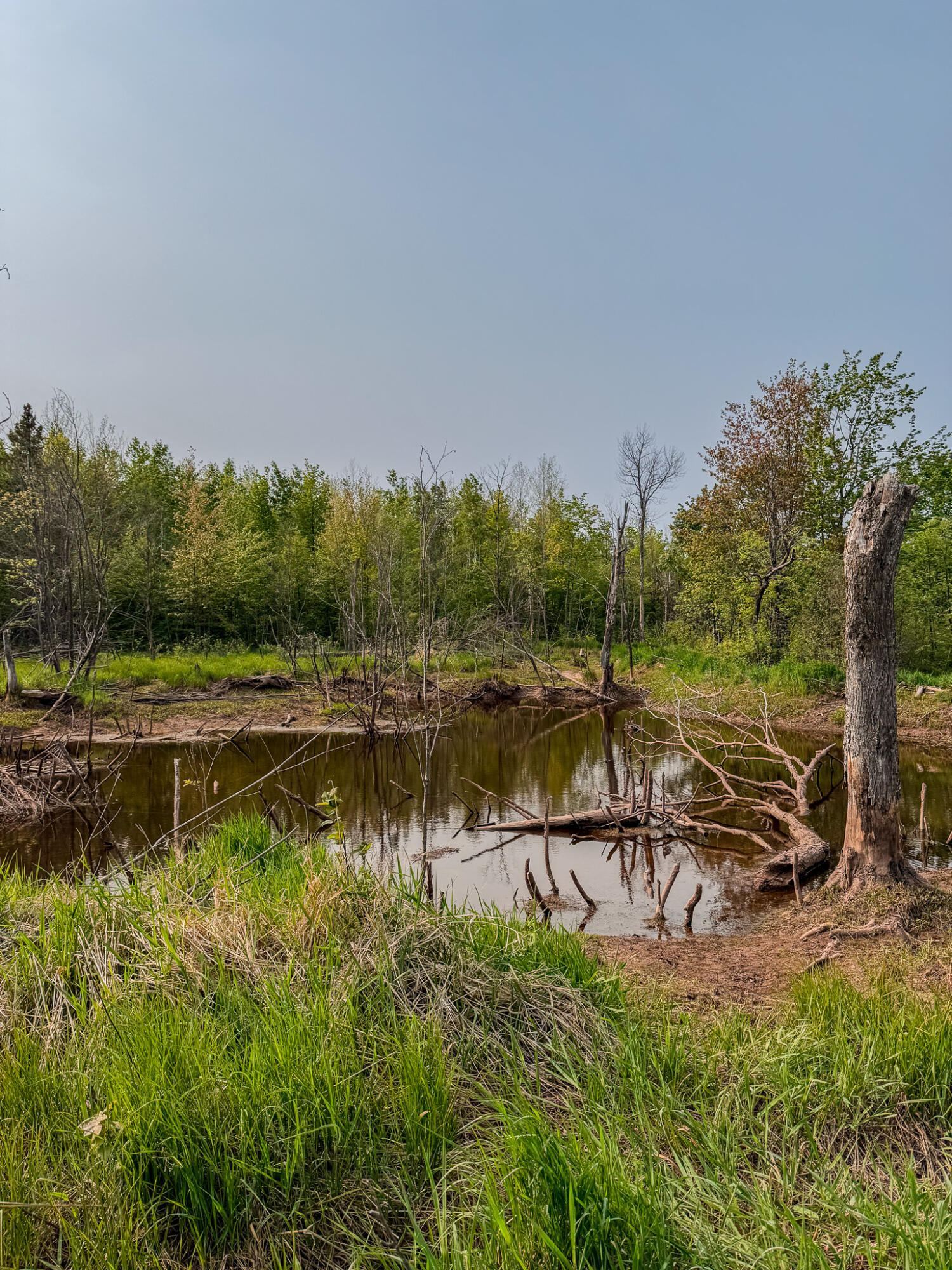 30659 Townline Road, Unit LOT 4 Ontonagon, MI 49953 - Photo 22 of 32 IMG_1717