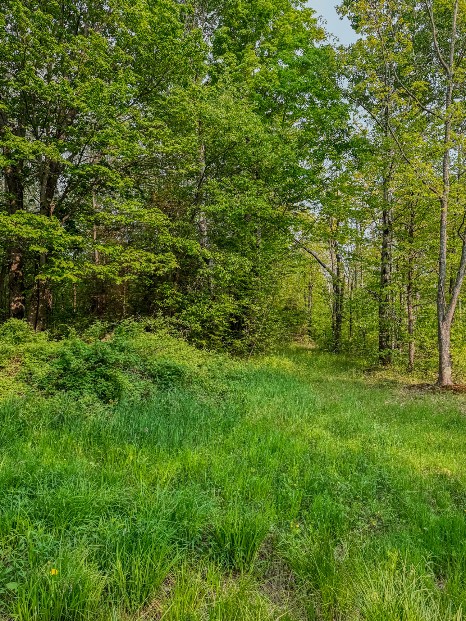 30659 Townline Road, Unit LOT 4 Ontonagon, MI 49953 - Photo 26 of 32 IMG_1728