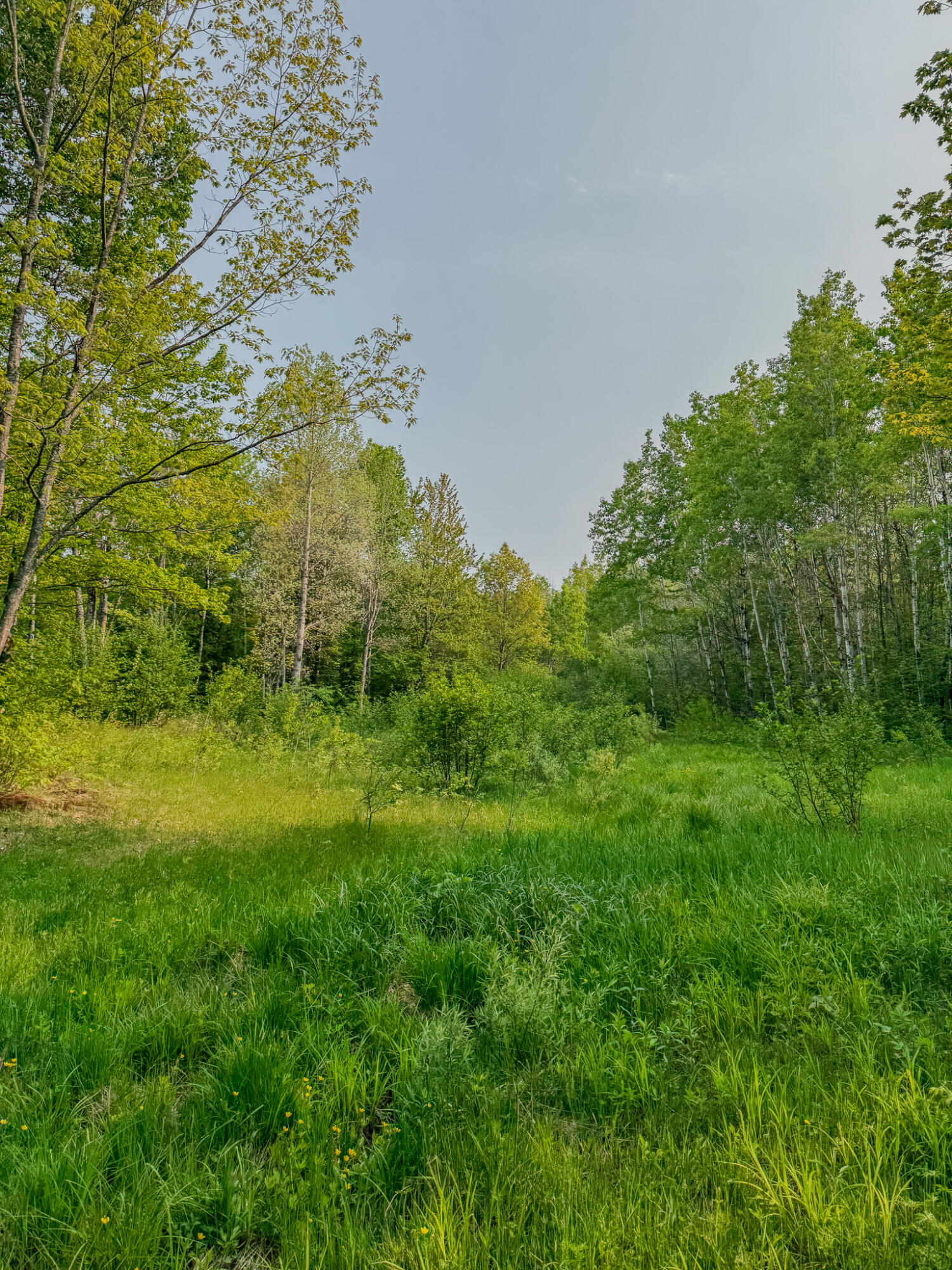 30659 Townline Road, Unit LOT 4 Ontonagon, MI 49953 - Photo 27 of 32 IMG_1729