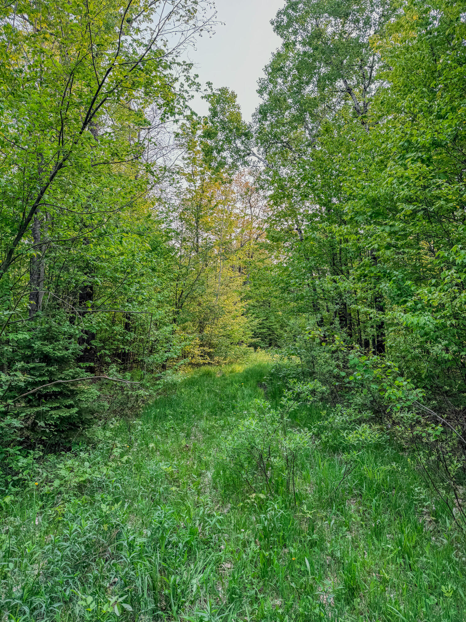 30659 Townline Road, Unit LOT 4 Ontonagon, MI 49953 - Photo 28 of 32 IMG_1733