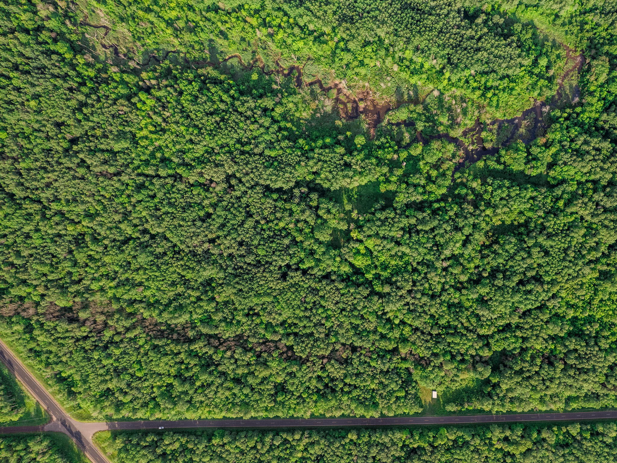 30659 Townline Road, Unit LOT 4 Ontonagon, MI 49953 - Photo 4 of 32 DJI_0028