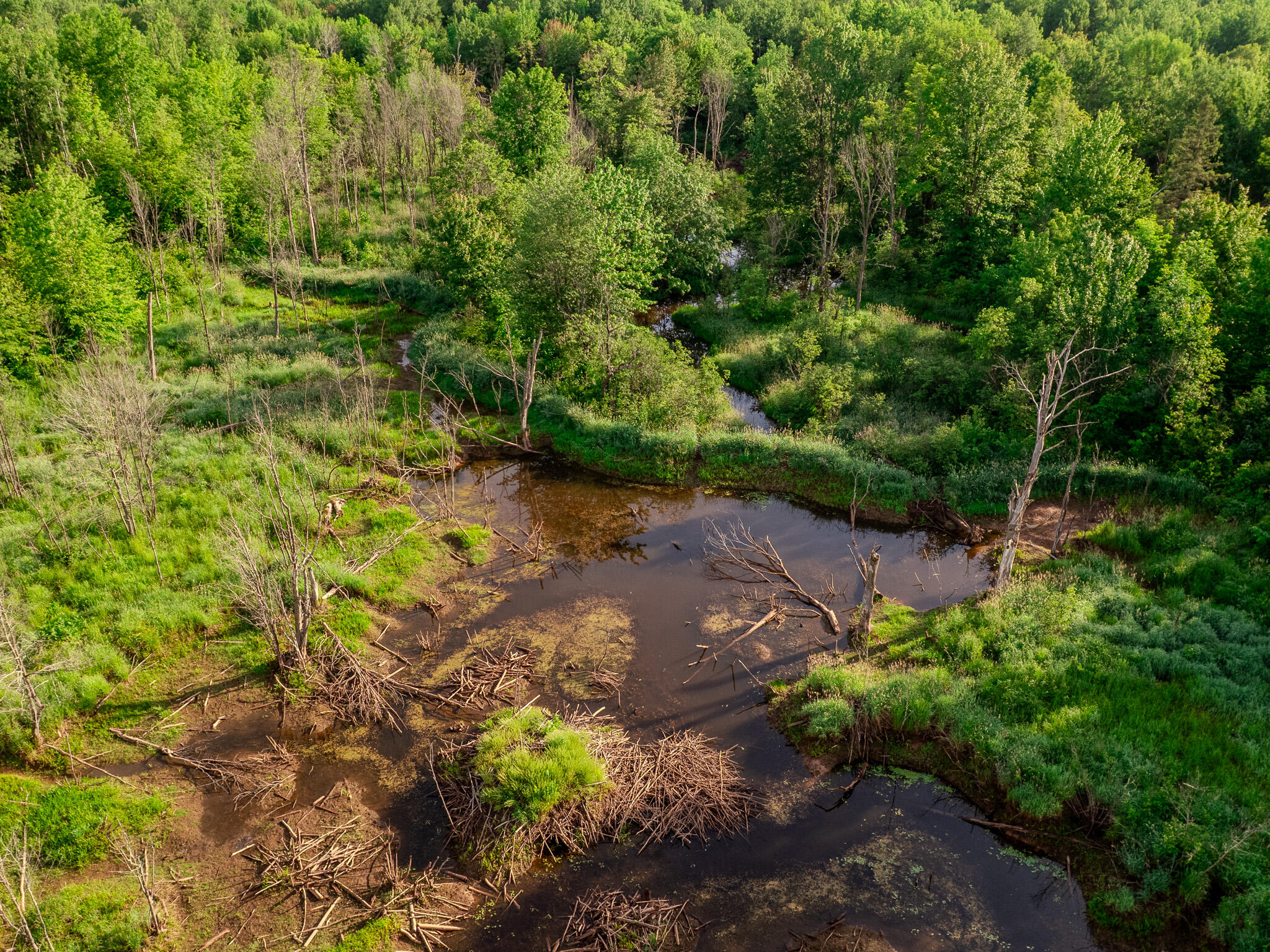 30659 Townline Road, Unit LOT 4 Ontonagon, MI 49953 - Photo 7 of 32 DJI_0020