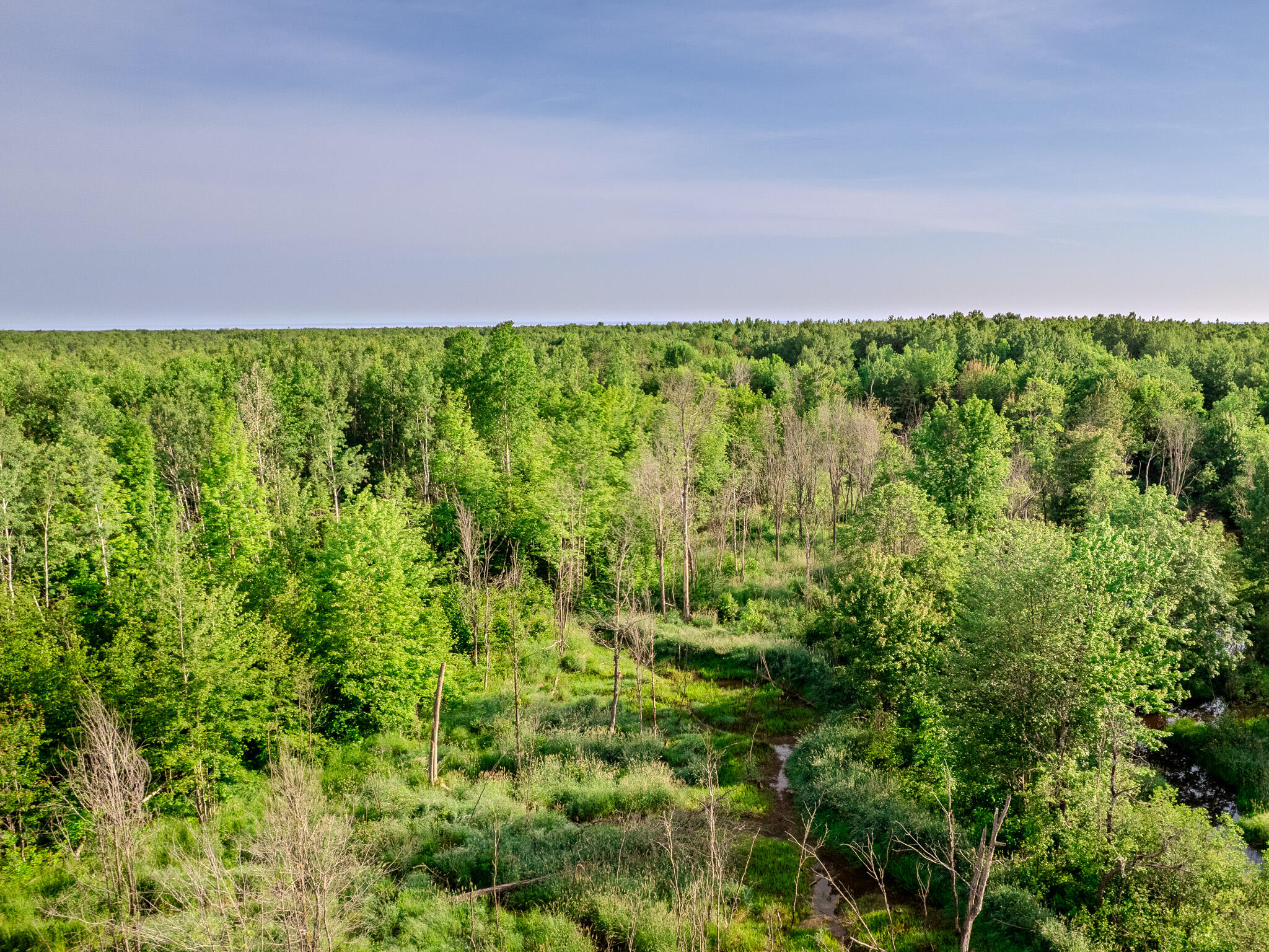 30659 Townline Road, Unit LOT 4 Ontonagon, MI 49953 - Photo 8 of 32 DJI_0021
