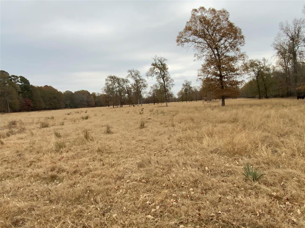 1 West Harrison Road Longview, TX 75604 - Photo 4 of 18 Pasture
