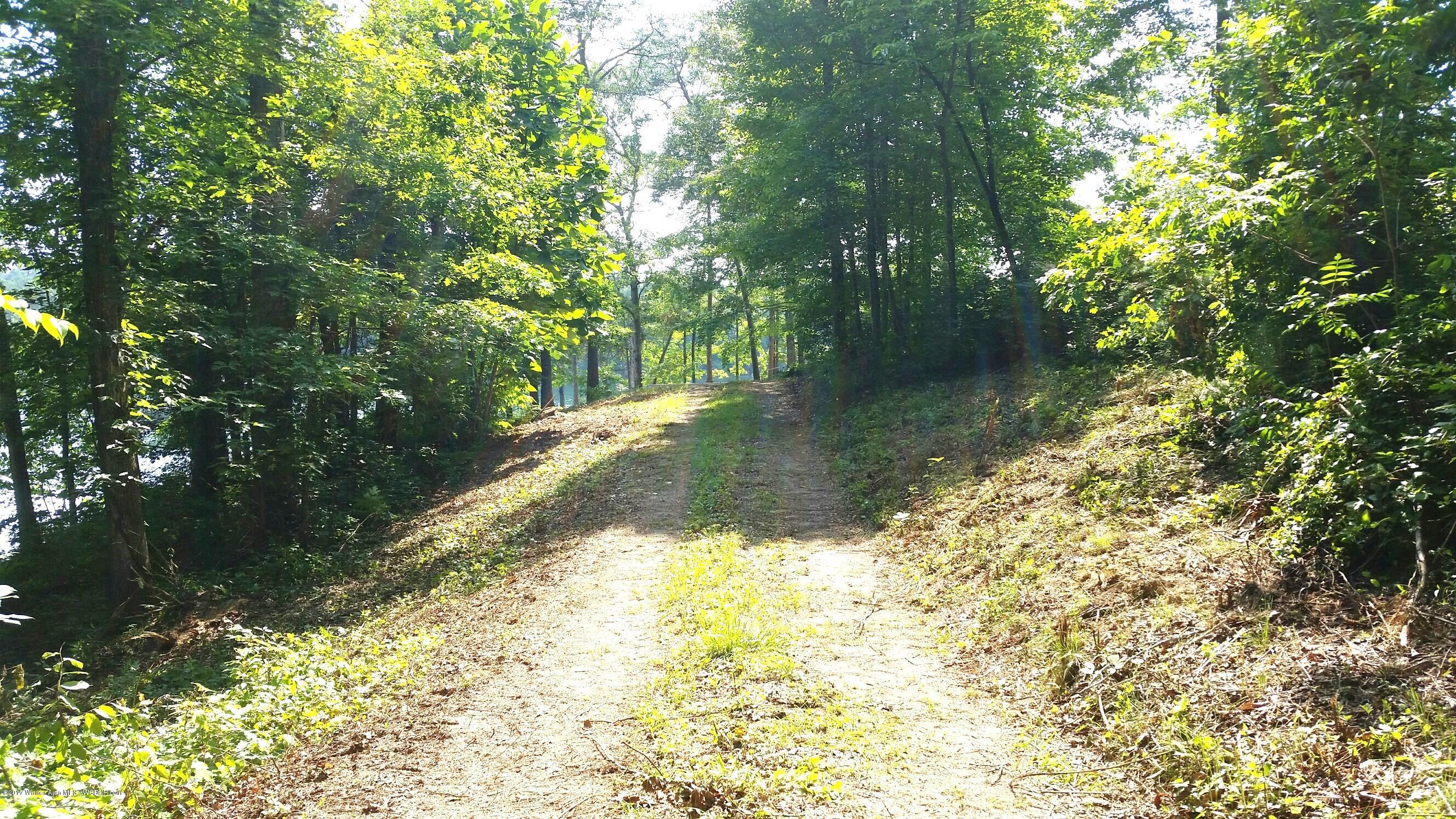 0 Co Road Crane Hill, AL 35053 - Photo 7 of 10 Gallery Image 7