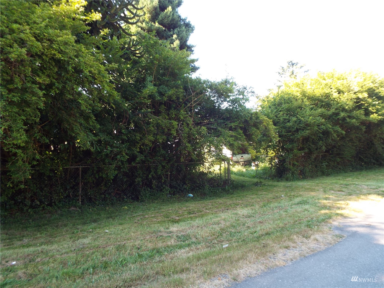 a view of a yard with green space