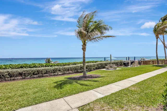 a view of a garden with a ocean view