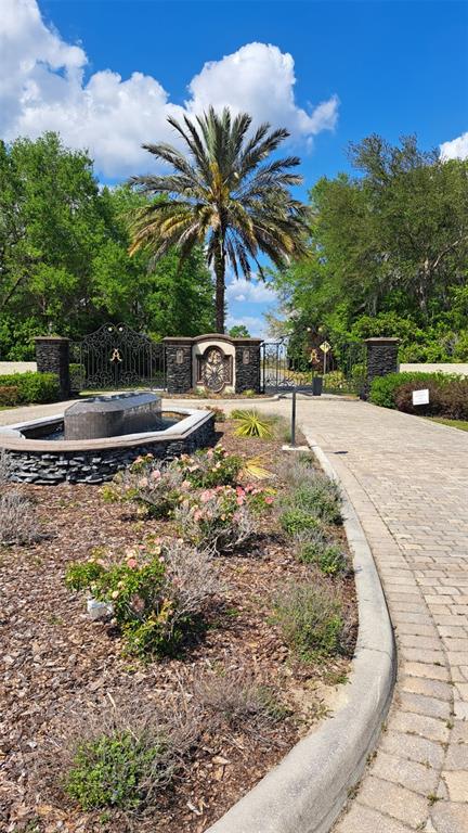 0 Southeast 101st Ct Road Belleview, FL 34420 - Photo 3 of 6