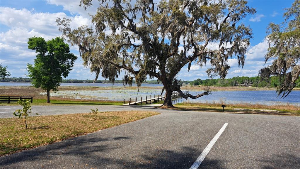 0 Southeast 101st Ct Road Belleview, FL 34420 - Photo 5 of 6