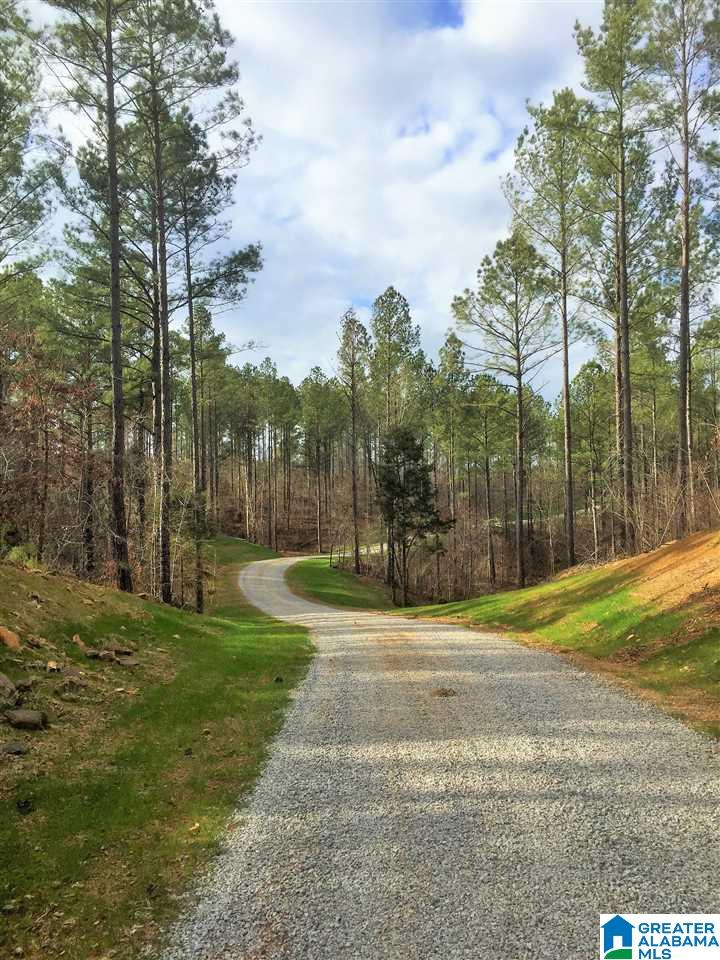 2111 Red Oak Road Helena, AL 35080 - Photo 17 of 34