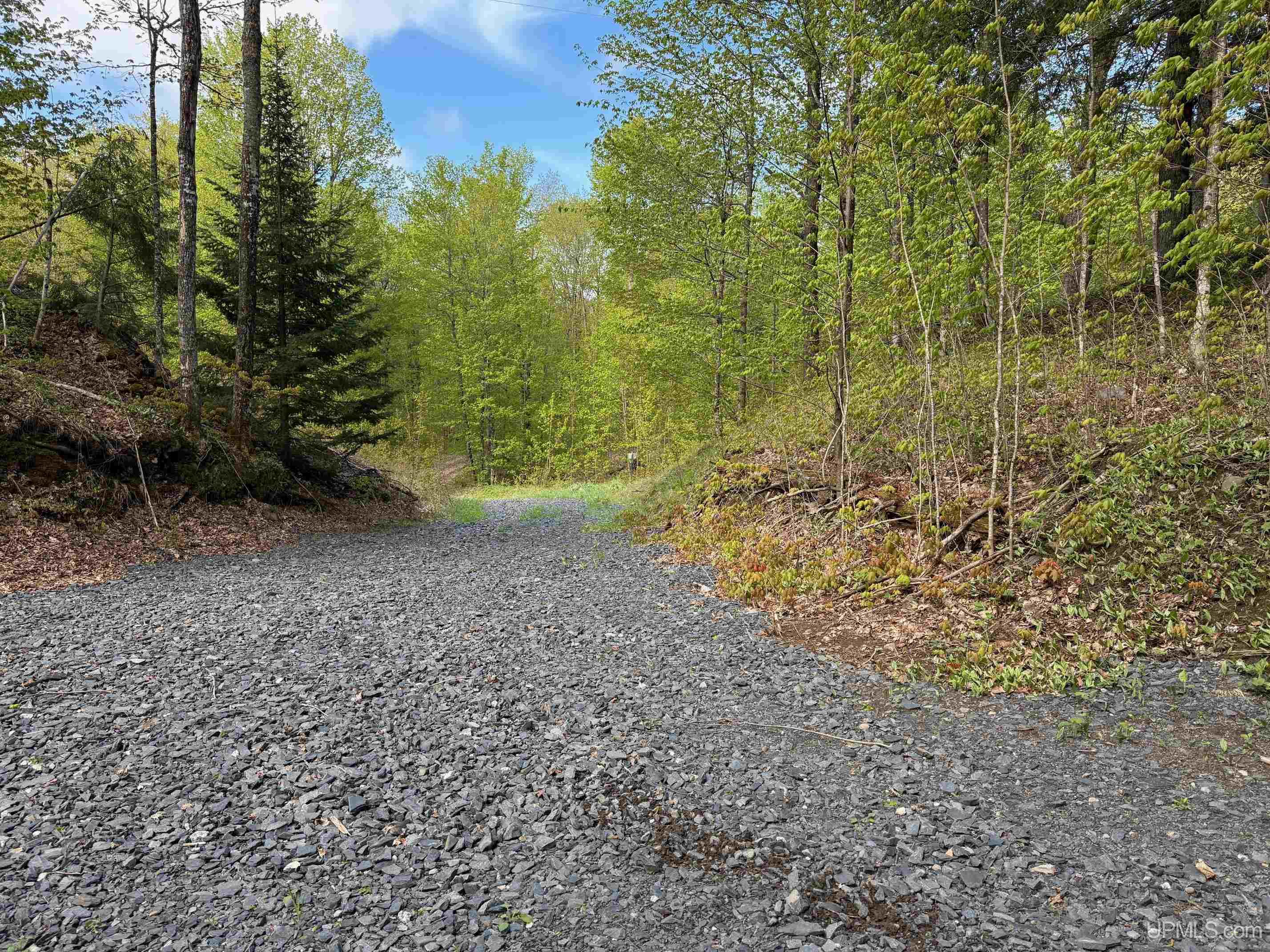 Tbd10 Baraga Plains Road Lanse, MI 49946 - Photo 18 of 19