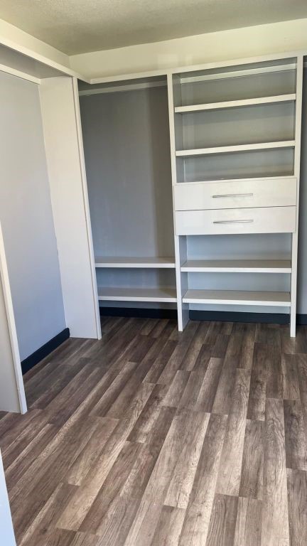 5606 Lyden Ridge Drive Houston, TX 77053 - Photo 13 of 34 a view of walk in closet with empty racks