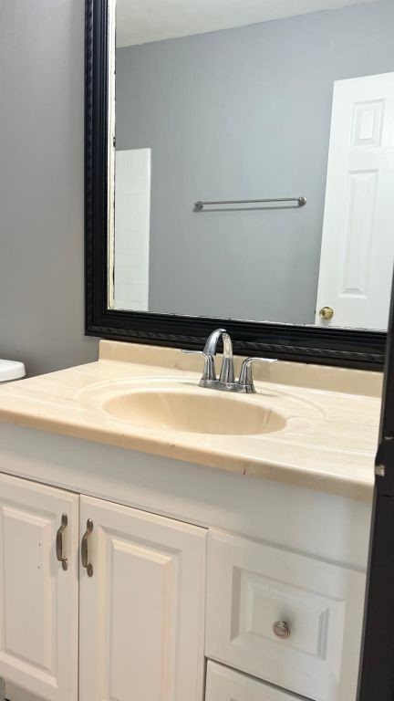 5606 Lyden Ridge Drive Houston, TX 77053 - Photo 8 of 34 a bathroom with a sink and a mirror