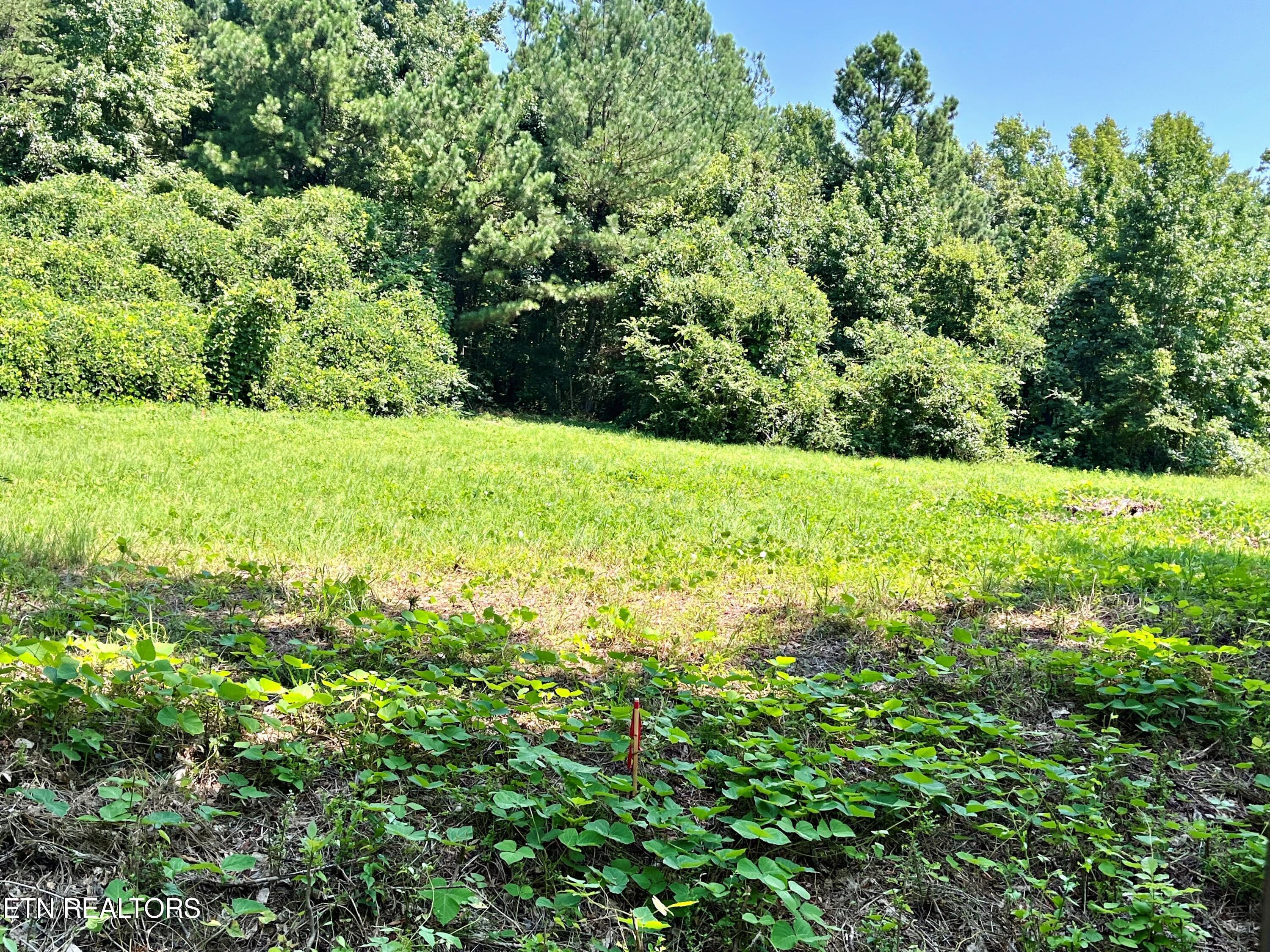 Lot 3 Oak Grove Road Decatur, TN 37322 - Photo 1 of 3 IMG_0042