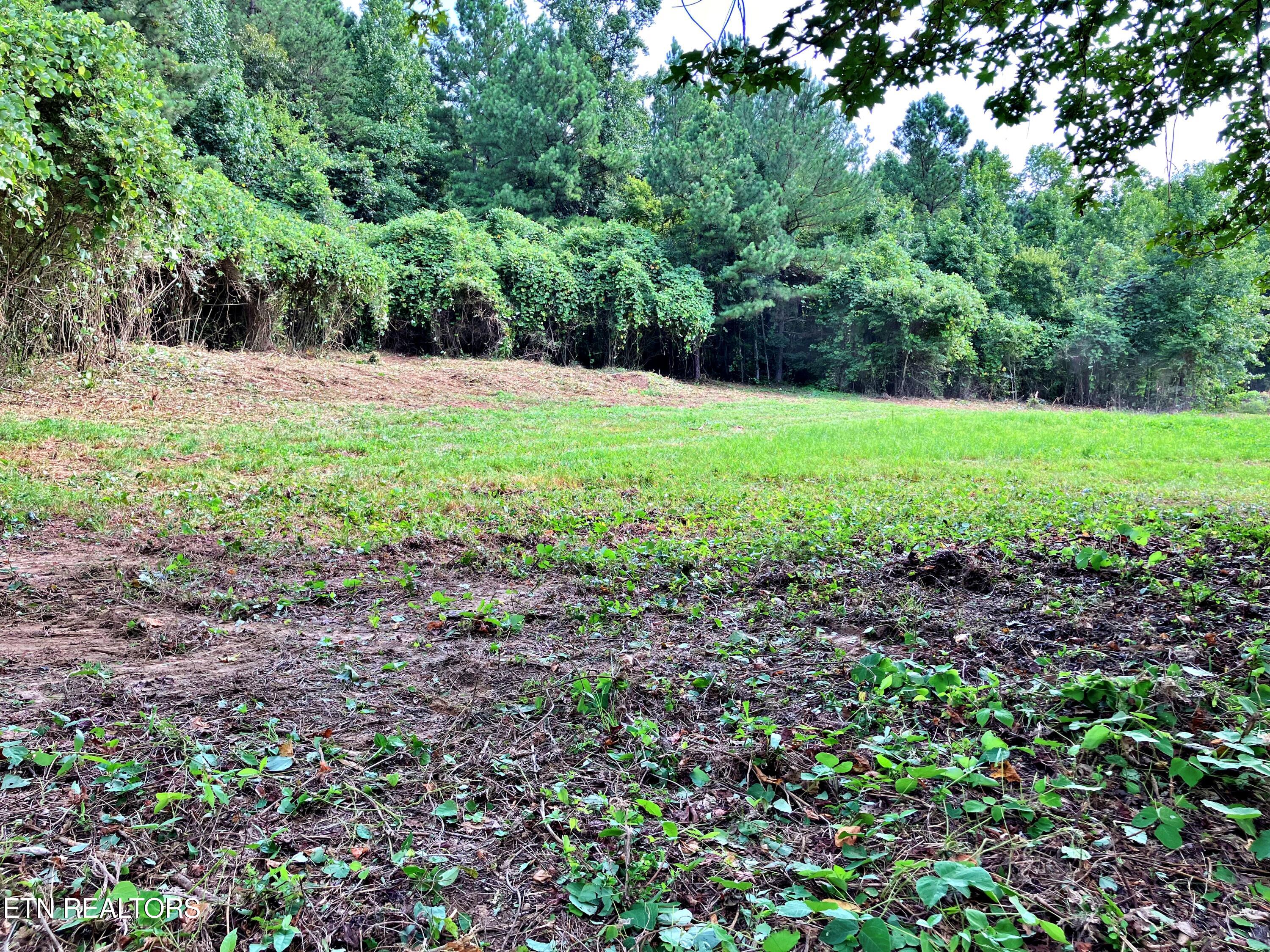 Lot 3 Oak Grove Road Decatur, TN 37322 - Photo 3 of 3 IMG_1632