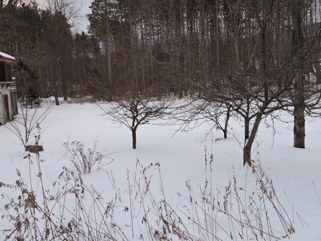 217 Brenda Road Clarendon, VT 05759 - Photo 20 of 22 Gallery Image 20