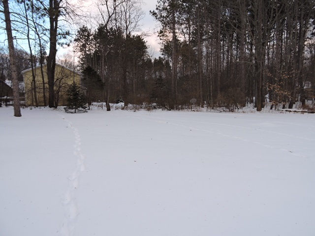 217 Brenda Road Clarendon, VT 05759 - Photo 21 of 22 Gallery Image 21