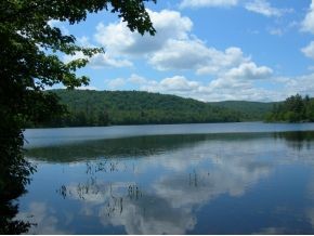 667 Halfmoon Pond Road Washington, NH 03280 - Photo 13 of 13