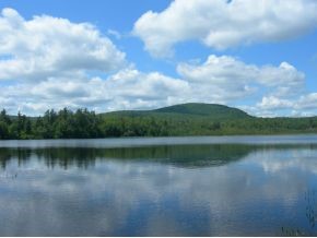 667 Halfmoon Pond Road Washington, NH 03280 - Photo 4 of 13