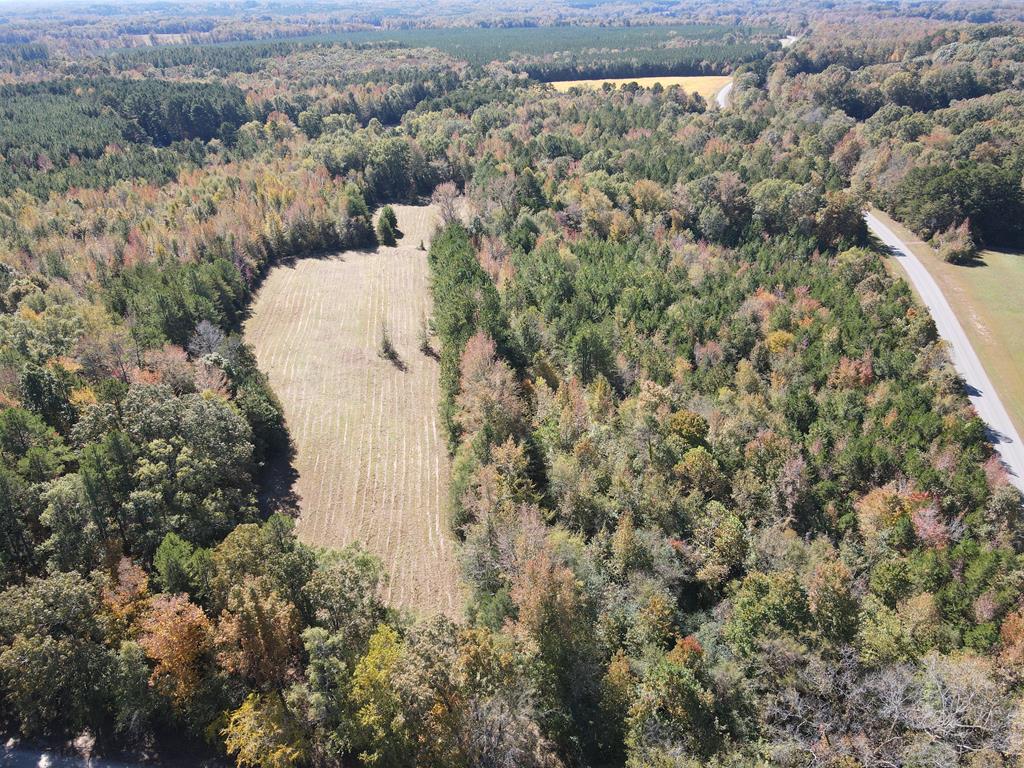 Parcel D South Farmington Road Skipwith, VA 23968 - Photo 1 of 3 Main View
