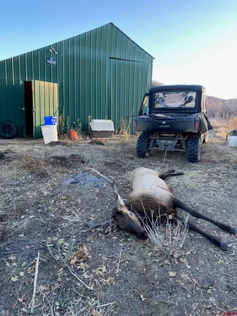 a view of city and mountain