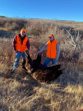 a view of lake and mountain