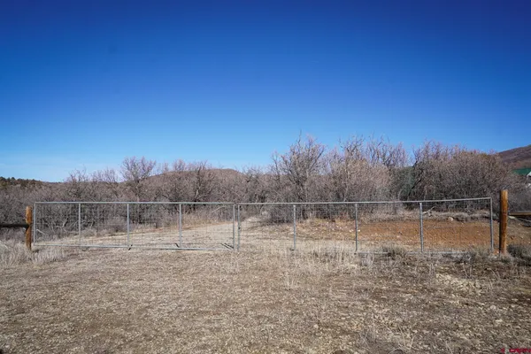 a view of a dry yard with mountains in the background