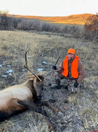 a view of a dry yard with mountains in the background