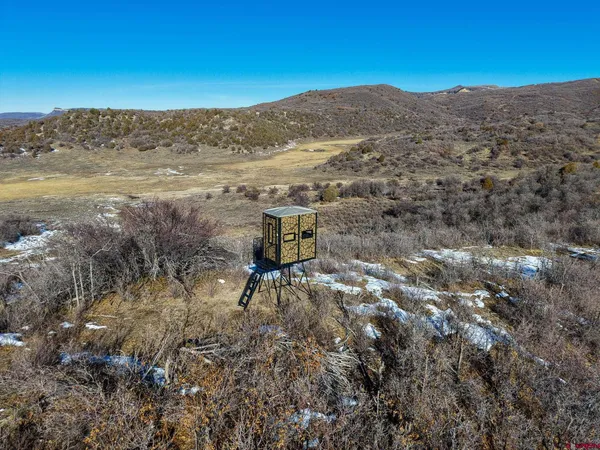 a view of a swimming pool with a yard