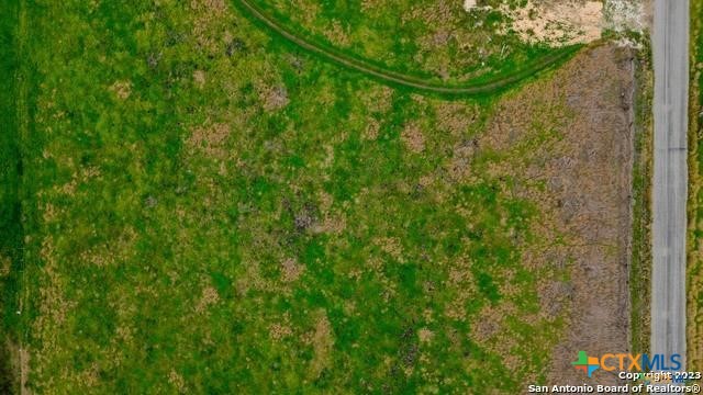 2395 Partnership Road Seguin, TX 78155 - Photo 5 of 17 a view of a yard with a tree