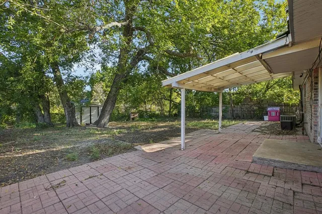 a view of backyard with tree